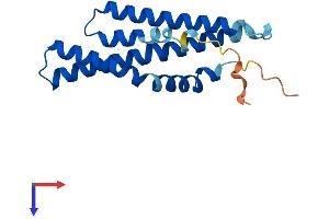 AlphaFold protein structure predicition of Human Recombinant MTFP1 Protein, UniprotID Q9UDX5