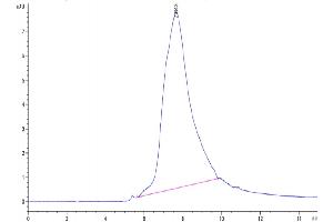 The purity of Biotinylated Human SOST is greater than 95 % as determined by SEC-HPLC.