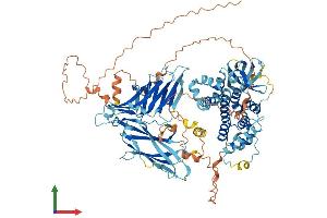 AlphaFold protein structure predicition of Human Recombinant MACC1 Protein, UniprotID Q6ZN28