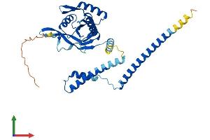 AlphaFold protein structure predicition of Mouse Recombinant Cops6 Protein, UniprotID O88545
