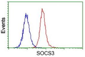 Flow cytometric Analysis of Hela cells, using anti-SOCS3 antibody (ABIN2454618), (Red), compared to a nonspecific negative control antibody, (Blue). (SOCS3 anticorps)
