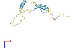 AlphaFold protein structure predicition of Mouse Recombinant Atxn7l1 Protein, UniprotID Q9CZ05