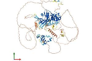 AlphaFold protein structure predicition of Human Recombinant LPIN1 Protein, UniprotID Q14693