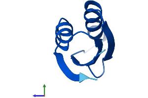 AlphaFold protein structure predicition of Human Recombinant ATOX1 Protein, UniprotID O00244