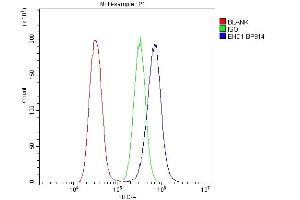 Flow Cytometry analysis of U20S cells using anti-EHD1 antibody (ABIN6719599). (EHD1 anticorps  (AA 324-516))