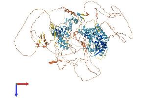 AlphaFold protein structure predicition of Mouse Recombinant Pogz Protein, UniprotID Q8BZH4