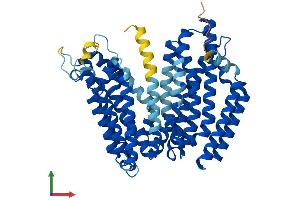 AlphaFold protein structure predicition of Human Recombinant RFT1 Protein, UniprotID Q96AA3