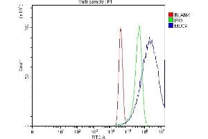 Flow Cytometry analysis of MCF-7 cells using anti-MUC4 antibody (ABIN7599886). (MUC4 anticorps  (AA 1250-1444))