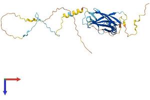 AlphaFold protein structure predicition of Human Recombinant PPP1R3B Protein, UniprotID Q86XI6
