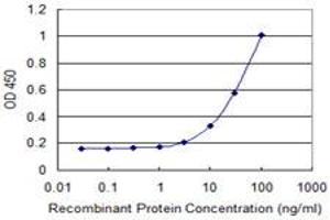 Detection limit for recombinant GST tagged PMS2 is 1 ng/ml as a capture antibody. (PMS2 anticorps  (AA 763-862))