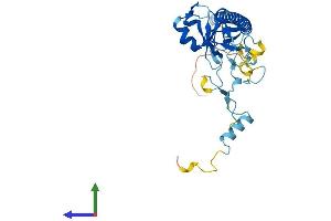 AlphaFold protein structure predicition of Mouse Recombinant Nosip Protein, UniprotID Q9D6T0