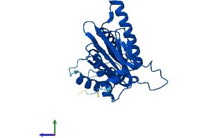 AlphaFold protein structure predicition of Mouse Recombinant Psma6 Protein, UniprotID Q9QUM9