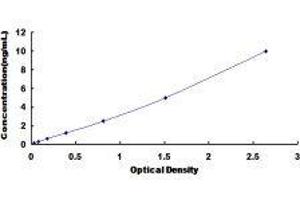 ELISA image for Solute Carrier Family 16, Member 1 (Monocarboxylic Acid Transporter 1) (SLC16A1) ELISA Kit (ABIN434448)