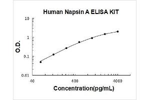 Typical Standard Curve