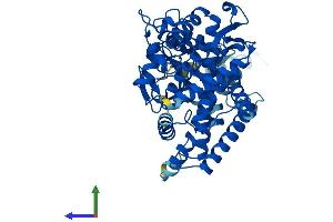 AlphaFold protein structure predicition of Mouse Recombinant Cyp2c39 Protein, UniprotID P56656