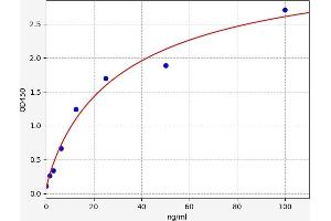 Alkaline Phosphatase (ALP) ELISA Kit