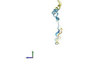 AlphaFold protein structure predicition of Human Recombinant C16orf74 Protein, UniprotID Q96GX8