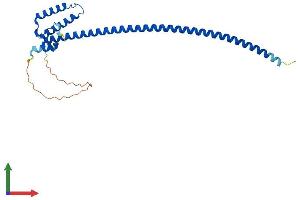 AlphaFold protein structure predicition of Mouse Recombinant Dnali1 Protein, UniprotID Q8BVN8