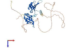 AlphaFold protein structure predicition of Human Recombinant HNRNPA1 Protein, UniprotID P09651
