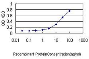 Detection limit for recombinant GST tagged CCT5 is approximately 0.