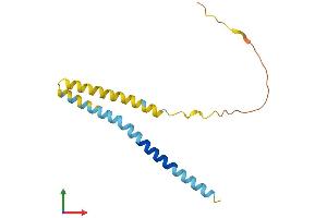 AlphaFold protein structure predicition of Mouse Recombinant Ifitm5 Protein, UniprotID O88728