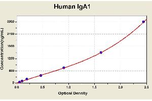 Diagramm of the ELISA kit to detect Human 1 gA1with the optical density on the x-axis and the concentration on the y-axis. (IgA1 Kit ELISA)