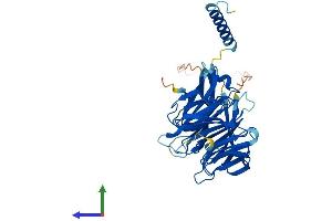 AlphaFold protein structure predicition of Human Recombinant PREB Protein, UniprotID Q9HCU5