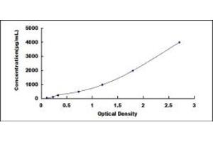 Typical standard curve (MMP10 Kit ELISA)