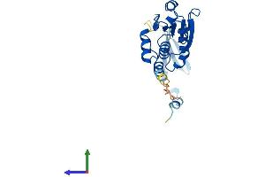 AlphaFold protein structure predicition of Mouse Recombinant Dusp19 Protein, UniprotID Q8K4T5