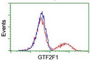HEK293T cells transfected with either RC201294 overexpress plasmid (Red) or empty vector control plasmid (Blue) were immunostained by anti-GTF2F1 antibody (ABIN2454913), and then analyzed by flow cytometry. (GTF2F1 anticorps)