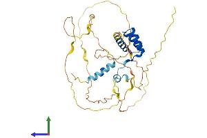 AlphaFold protein structure predicition of Mouse Recombinant Rax Protein, UniprotID O35602