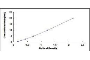Anoctamin 6 (ANO6) ELISA Kit