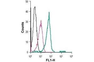 Cell surface detection of LPA receptor 2 in live intact human THP-1 monocytic leukemia cells: (black line) Cells.
