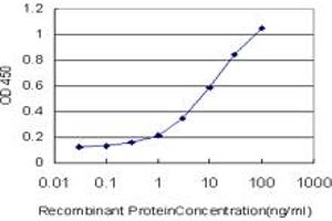 Detection limit for recombinant GST tagged RAX is approximately 0. (RAX anticorps  (AA 104-206))