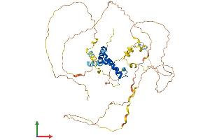 AlphaFold protein structure predicition of Mouse Recombinant Sox9 Protein, UniprotID Q04887