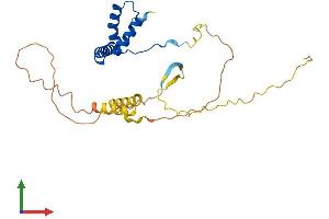 AlphaFold protein structure predicition of Human Recombinant SOX21 Protein, UniprotID Q9Y651