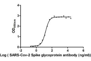 The Binding Activity of SARS-CoV-2-S Antibody with SARS-CoV-2-S1-RBD.