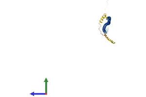 AlphaFold protein structure predicition of Human Recombinant SYCE1L Protein, UniprotID A8MT33