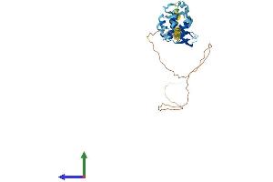 AlphaFold protein structure predicition of Mouse Recombinant Prpf38a Protein, UniprotID Q4FK66