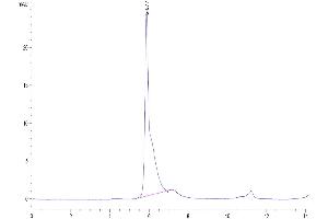 The purity of Human LGR-5 is greater than 95 % as determined by SEC-HPLC.