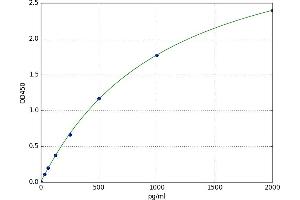 Neuritin 1 (NRN1) ELISA Kit