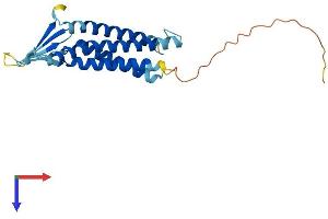 Claudin 6 (CLDN6) (AA 1-219) protein (His tag)