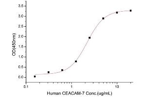 Activity Assay (AcA) image for Carcinoembryonic Antigen-Related Cell Adhesion Molecule 3 (CEACAM3) (AA 35-155) (Active) protein (His tag) (ABIN7607440)