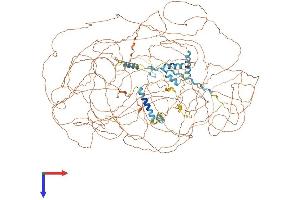 AlphaFold protein structure predicition of Mouse Recombinant Setbp1 Protein, UniprotID Q9Z180
