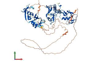 AlphaFold protein structure predicition of Human Recombinant DTX2 Protein, UniprotID Q86UW9