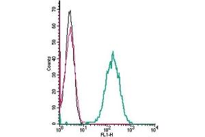 Cell surface detection of C5aR2 by indirect flow cytometry in live intact mouse J774 macrophage cell line: (black line) Cells.