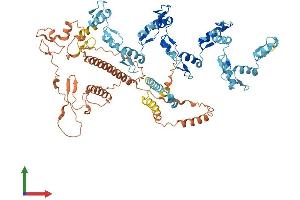 AlphaFold protein structure predicition of Human Recombinant ZNF544 Protein, UniprotID Q6NX49