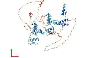 AlphaFold protein structure predicition of Human Recombinant ZNF768 Protein, UniprotID Q9H5H4