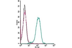 Cell surface detection of C5aR2 by indirect flow cytometry in live intact human THP-1 monocytic leukemia cells: (black line) Cells.