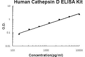 Human Cathepsin D Accusignal ELISA Kit Human Cathepsin D AccuSignal ELISA Kit standard curve. (Cathepsin D Kit ELISA)